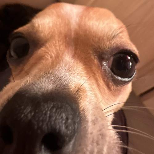 Brendan Kush - Unreal Weekend (p.brendankush)