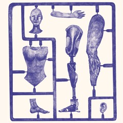 La survie des médiocres. Critique du darwinisme et du capitalisme (Gallimard)