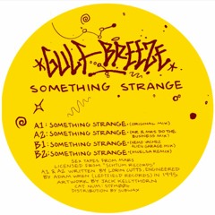 Premiere: B1 - Gulf Breeze - Something Strange (Nemo Vachez Alien Garage Mix) [STFM004]