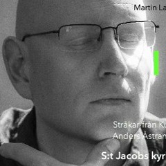 Martin Larson: I it am (2016)