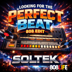 Looking For The Perfect Beat (Soltek 808 Bump)