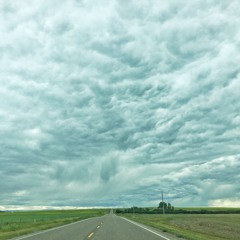 Prince Frogging - Almost Something