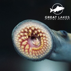 Sea Lampreys In The Great Lakes with Zak Allen - Great Lakes Fishing Podcast #215