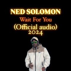 Ned Solomon - Wait For You (OFFICIAL AUDIO) 2k24