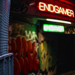ENDGAMER-LVL-6