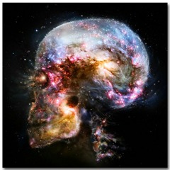 EXFIL - Multiverse (OFFICIAL)