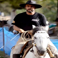 Correndo atrás de Boi