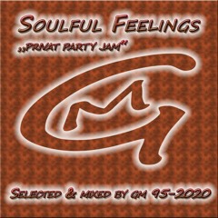 Soulful Feelings 95 (PRIVAT PARTY JAM) 2020  DJ GM