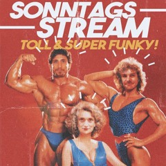 Sonntagsstream aka besoffen im Internet | Carlo Bonanza - Wurzelholz - Julita Just b2b2b