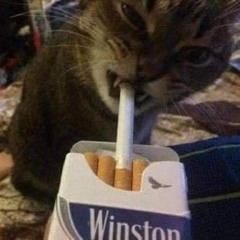 Minisetik