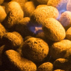 Jretsim & Ashriver: Novo Amor & Gia Margaret - No Fun Vocal Cover