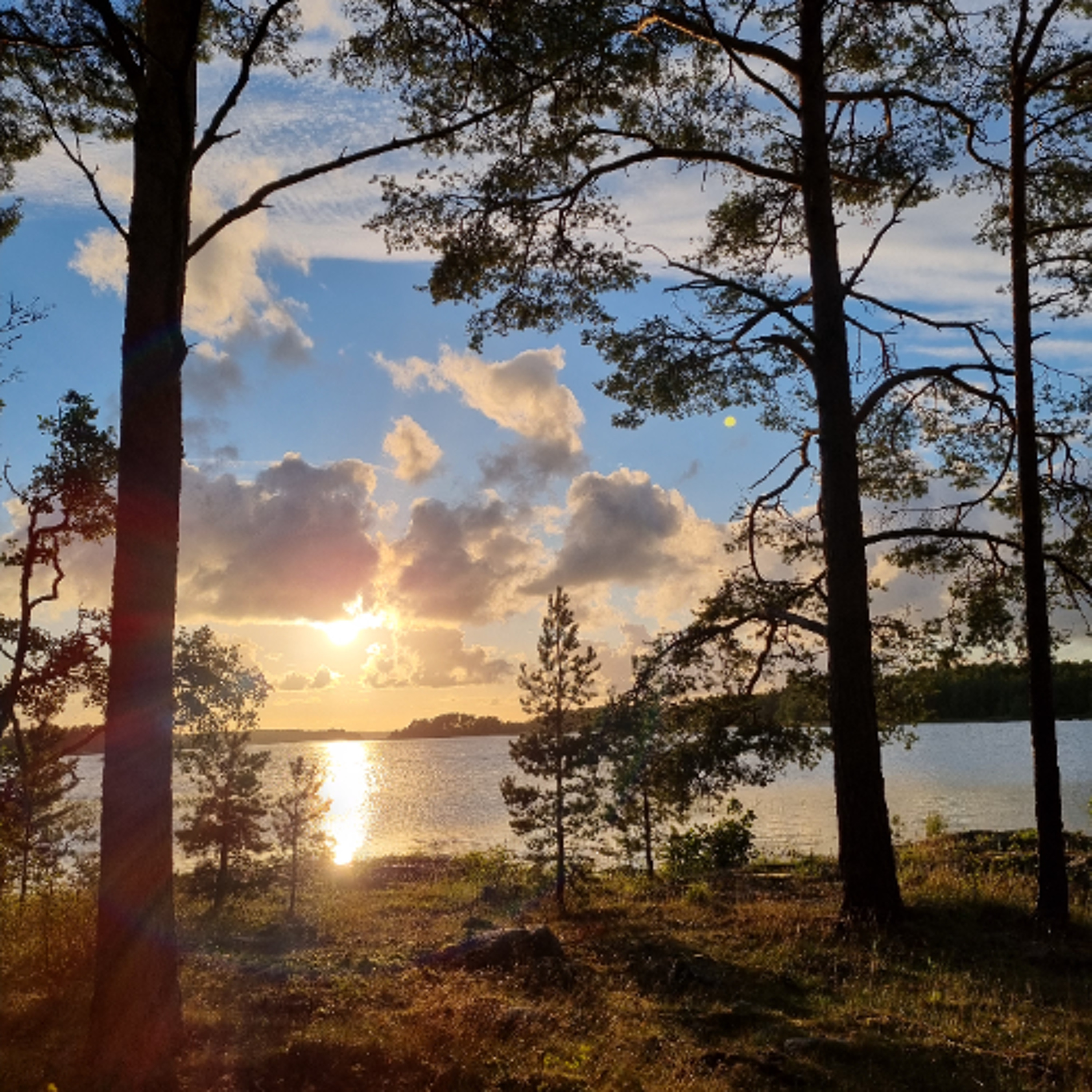 Kutualueita kaloille ja leväniittyjen istutuksia — tällainen on Itämeren suojeluun keskittynyt jättihanke episode artwork