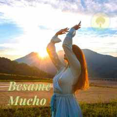 Besame Mucho - Music (Instrumental Mix)