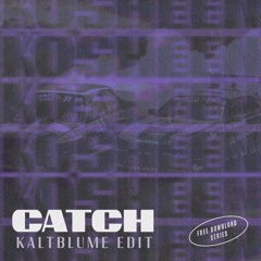 Kosheen - Catch You (Kaltblume Edit) FREE DL