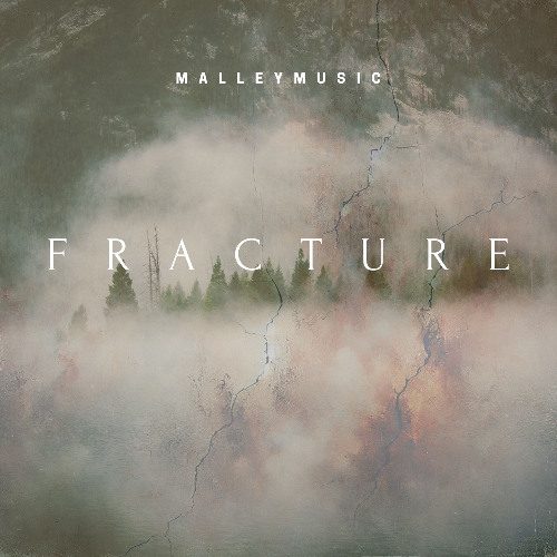 Fracture
