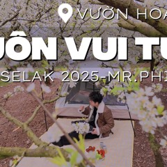 LUÔN VUI TƯƠI #33🌅🌴HOA MẬN (NGHE FULL VÀO LINK YOUTUBE DƯỚI BÌNH LUẬN )