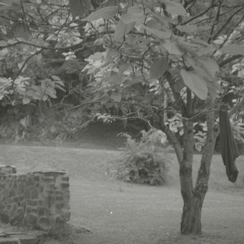 I made big steps (Intro)