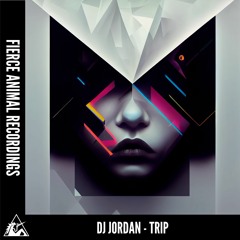 DJ Jordan - TRIP (Original Mix)