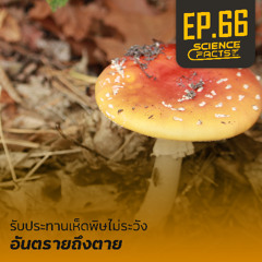 Science Facts EP.66 รับประทานเห็ดพิษไม่ระวัง อันตรายถึงตาย