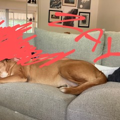 I suck