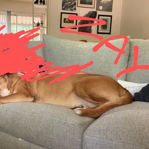 I suck