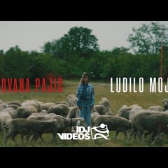 JOVANA PAJIC - LUDILO MOJE