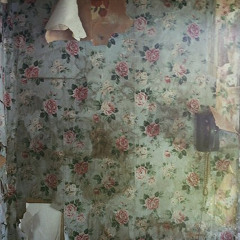 wallpaper- megan cromwell cover