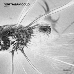 Northern Cold - Proxima (CYNTHESZR Remix) [EONS]
