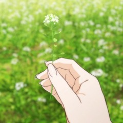 أبي بدون إيقاع  قناة سنا