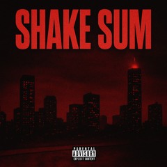 Shake Sum