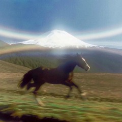 horses don’t stop