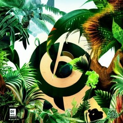 Tash Sultana - Jungle (Kenny Tynan Remix)