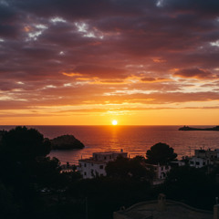 The Mediterranean
