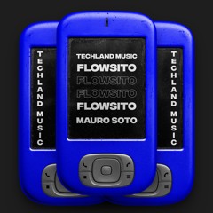 Flowsito (Original Mix) - Mauro Soto - [PROMO] - [16-AGOSTO-2024]