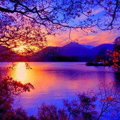 Beautiful