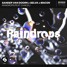 Sander Van Doorn X Selva X Macon - Raindrops (feat. Chacel) (Mendoza Remix)