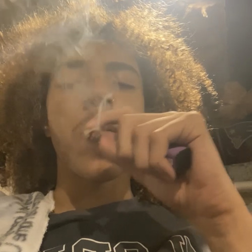 high 2 (slxva dynox)