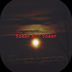 sorry (not sorry) ft. SadBoyForLife (prod. moon)