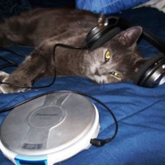 rochelle jordan - i'm your muse (vetem remix)