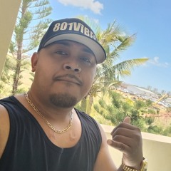 801-ViBES (island style)