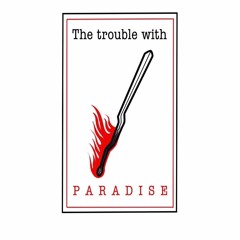 Amsterdam  - Link Flamingo