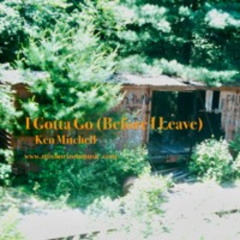 I Gotta Go (Before I Leave) REMIX