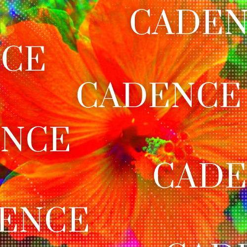 The Rhythm of Cadence