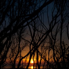 END of the WORLD (dil sky) all versions over the years