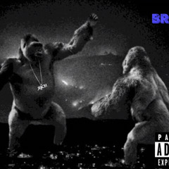 brickz ft rayrizzo~ pippen