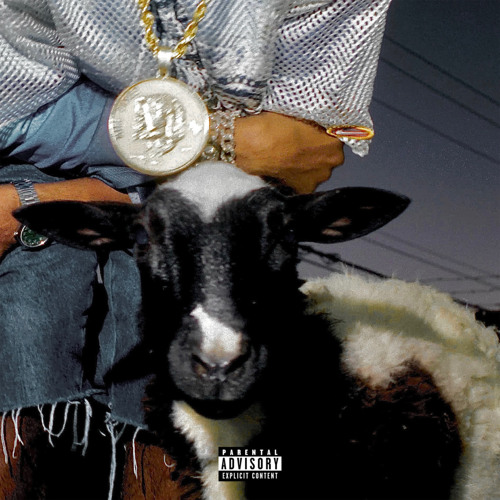 Lamb Talk