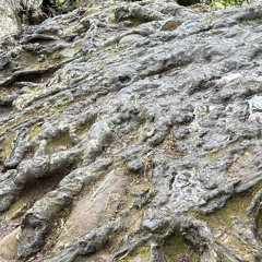 [FREE DL] Jah’s Groove - DJ MAXXY P