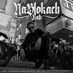 kali-na-blokach-prod-sir-mich.