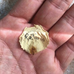 Pétala-Elo Remix - Conceitinho