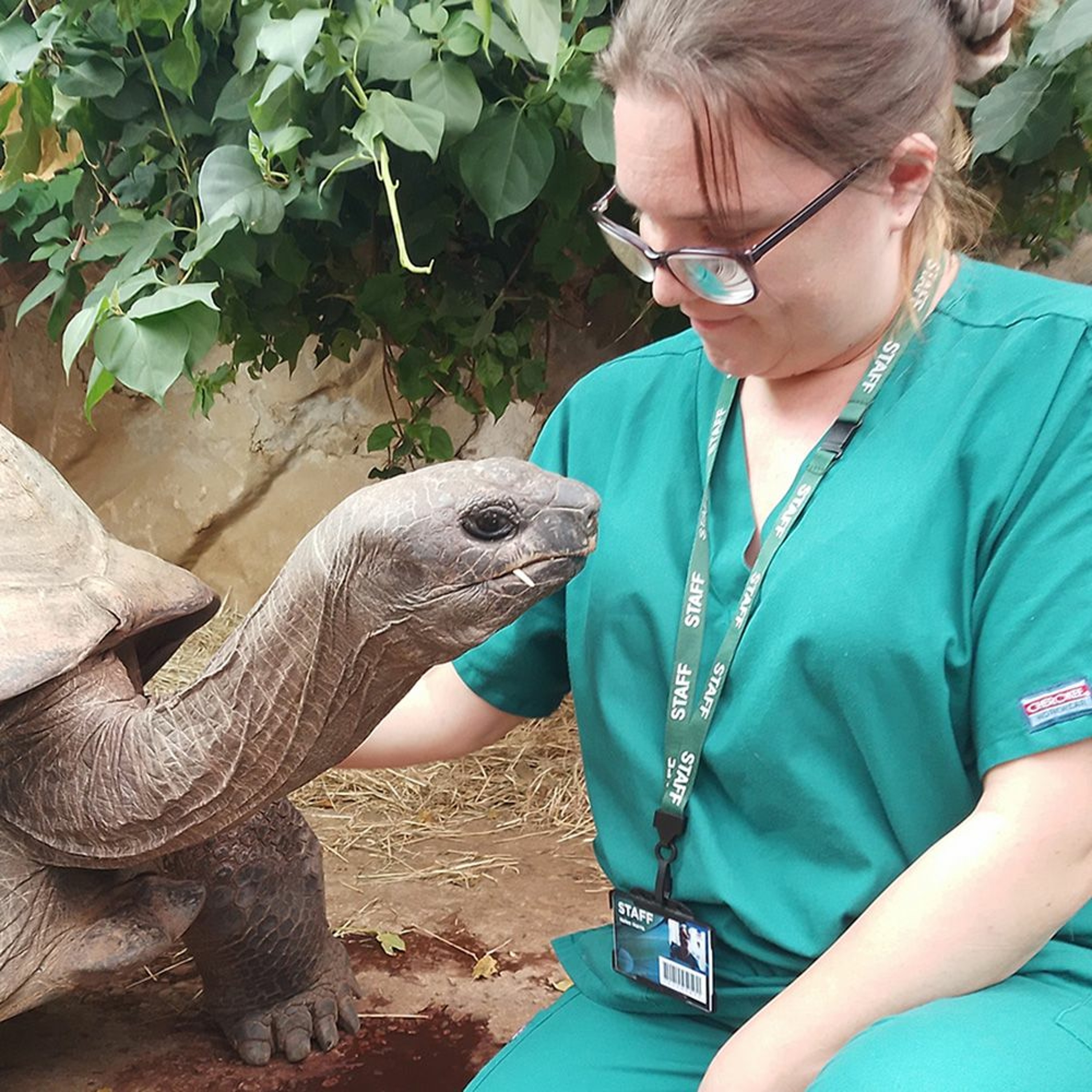 VN Times Podcast, Ep 43: Veterinary nursing - falling back in love with medicine